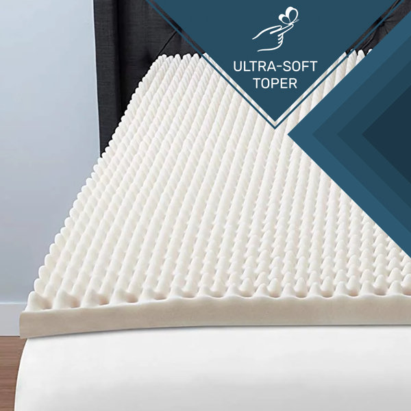 Alwyn Home Bermudez 1inch Convoluted Egg Shell Mattress Topper